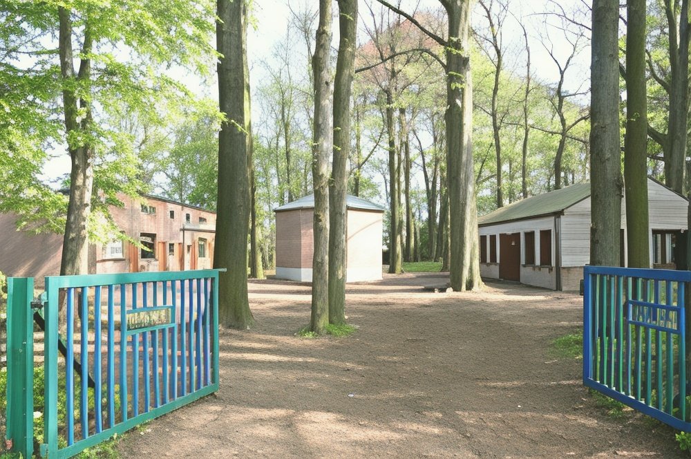 Eetfestijn in de scoutslokalen